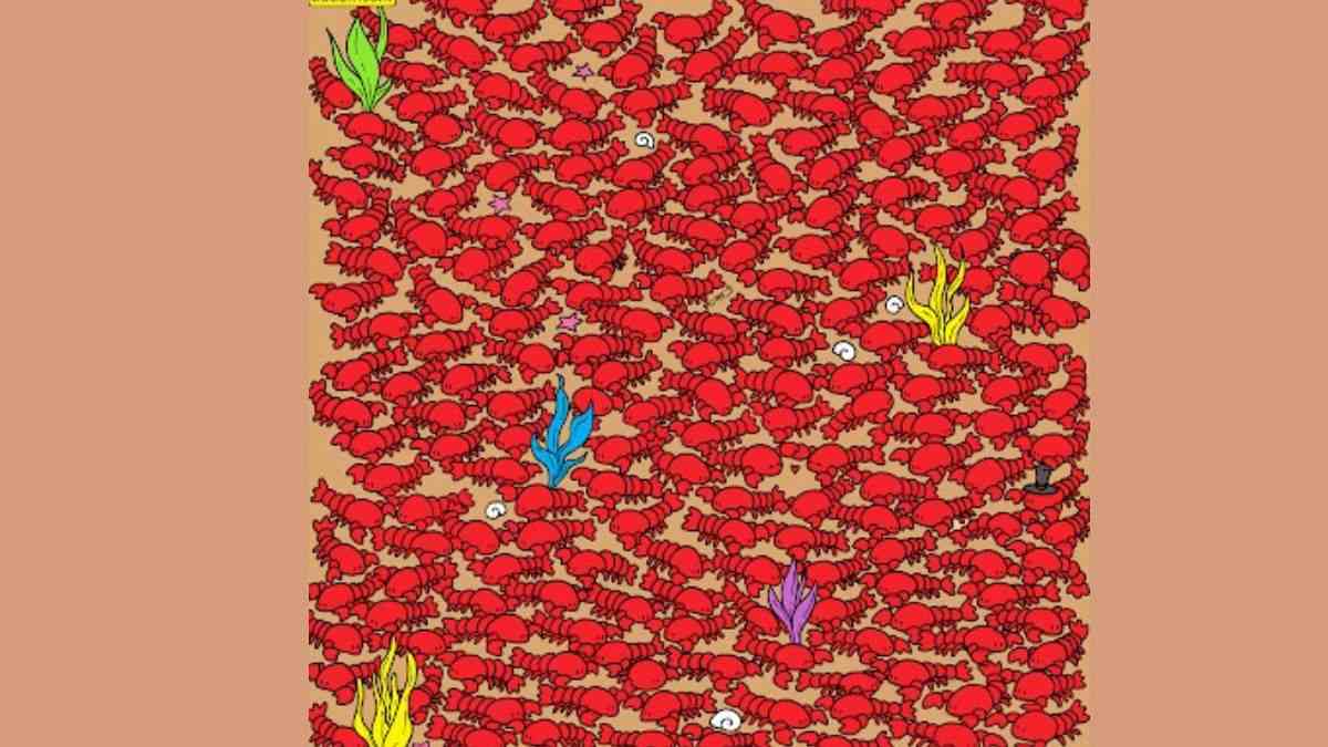 Optical Illusion: Can you spot four crabs among these lobsters in 11 seconds?